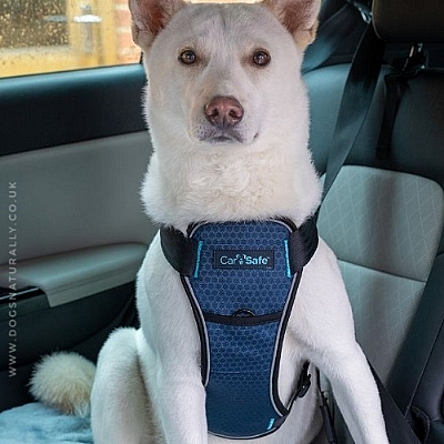 CarSafe Dog Harness Large (Crash Tested)